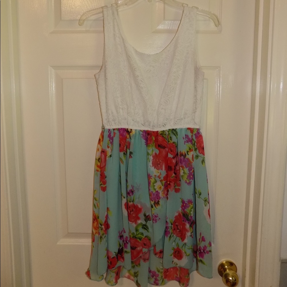 Blush Lace and Floral Dress